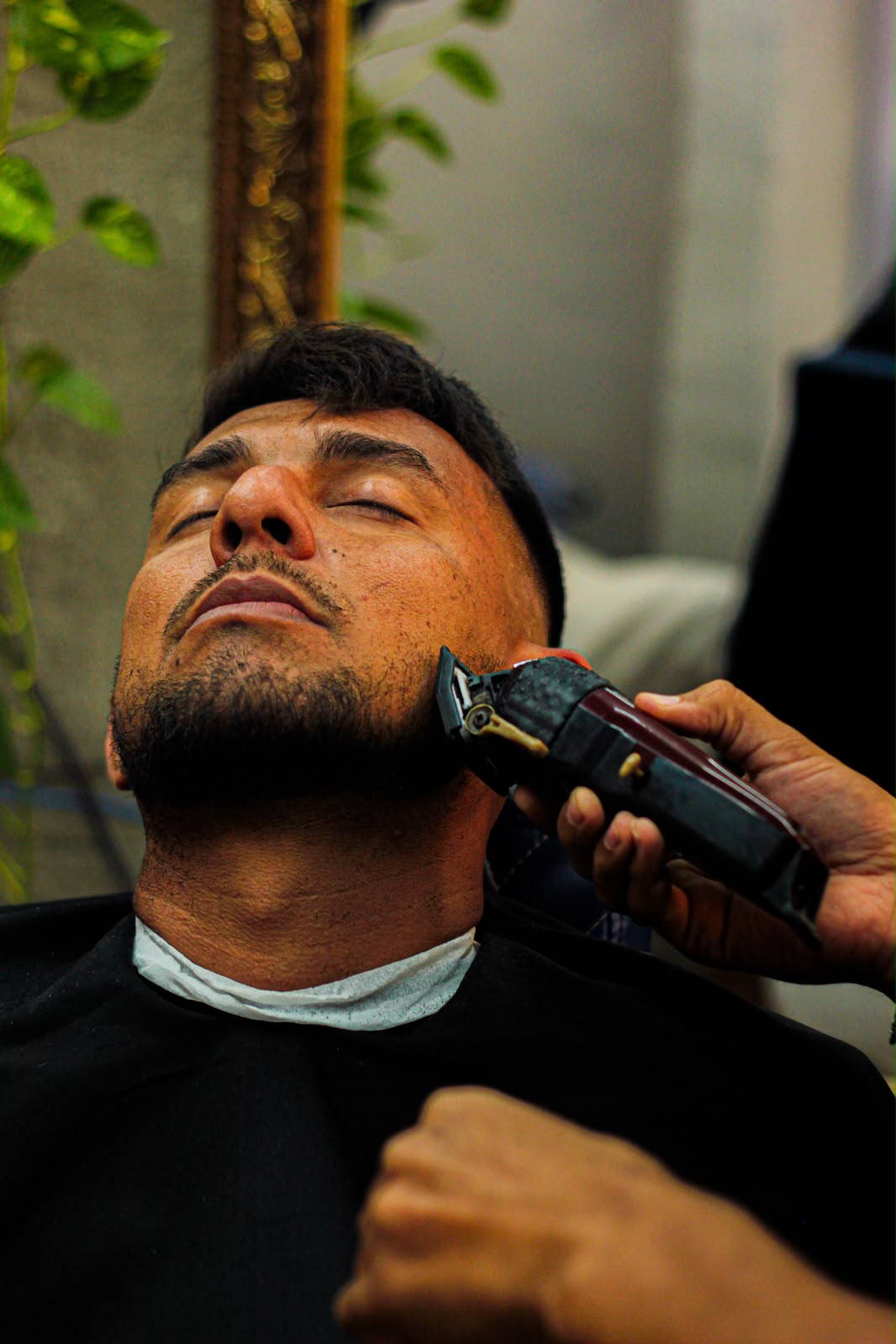 Barba